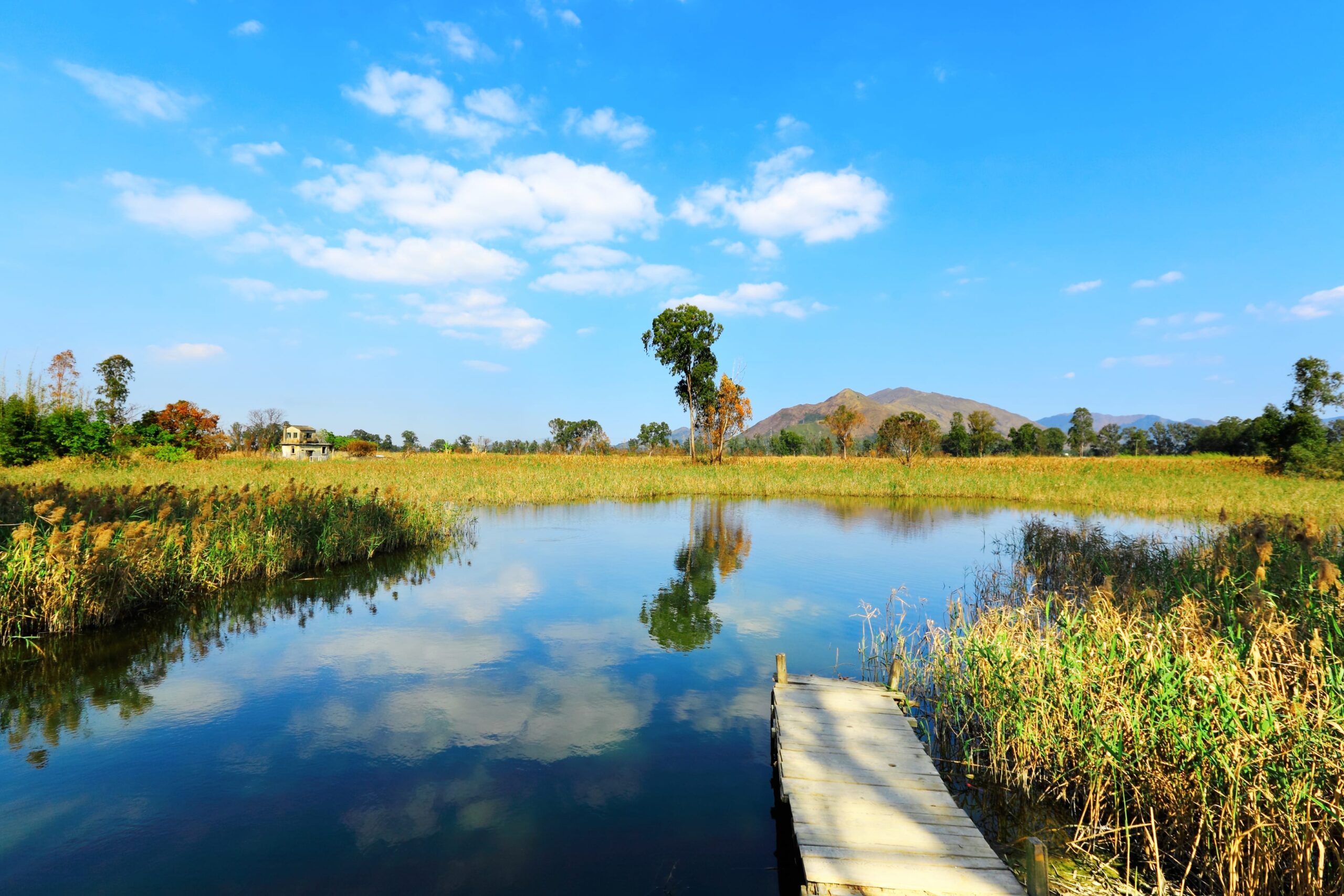 Environmental Review Sambatek